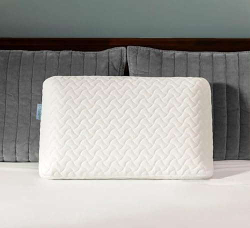 Ecosafeter Memory Foam Kissen - Ergonomisches Nackenstützkissen für Seitenschläfer & Rückenschläfer - Viskoelastisches Kopfkissen mit Atmungsaktivem Bezug