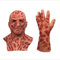 Halloween-Kostüm, Fre_ddy Krue_ger Vinyl-Maske, Nightmare on Elm Street Kostüm, gruselige Rollenspiel-Maske, Einheitsgröße (Maske mit 1 Handschuh)