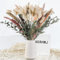 Natürliche Pampasgras Deko 85 Stück DIY Trockenblumen für Pampasgras Getrocknet Strauss, Ideal for Boho Wohnzimmer-Schlafzimmer-und Vasen Deko (85 Stück)
