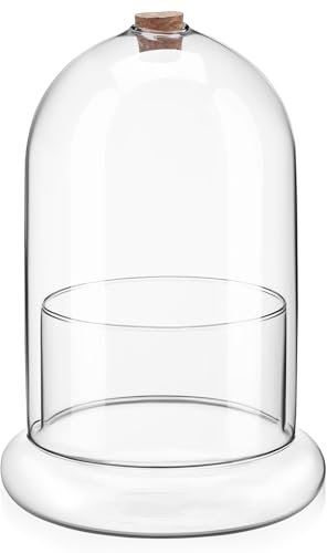 TOYANDONA Vase Terrarium Verre Transparent Avec Et Trou Aération Pour Paysage Décoration Pour Plantes Et Fleurs à Poser Sur Bureau Ou Table