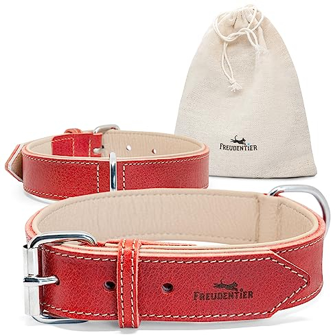 FREUDENTIER Hundehalsband Leder, gefüttert & komfortabel, hochwertiges breites Lederhalsband aus Vollnarbenleder, Amstelpark Kollektion in Spicy Red (47-57cm Halsumfang, Rot)