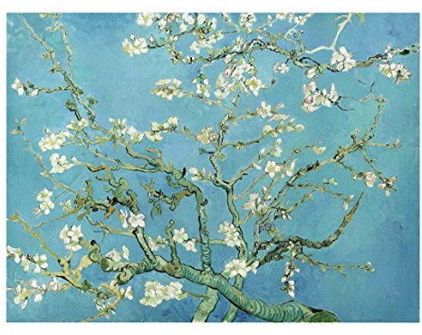 Bilderwelten Top Vincent Van Gogh Leinwandbilder Mandelblüte 30 x 40cm