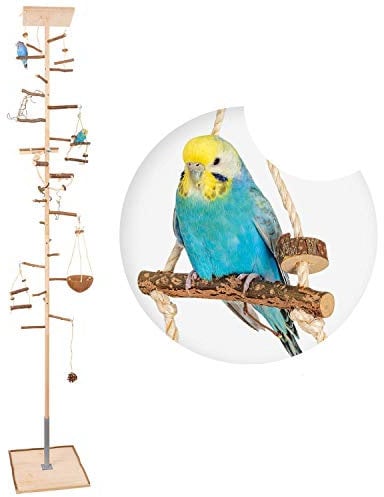 Vogelgaleria® Zimmerhoher Vogel-Kletterbaum 268-270 cm HiFly Medio mit Naturholz-Sitzstangen Vogelspielzeug Vogelschaukel Vogelspielplatz Freisitz Freiflug Landeplatz für Wellensittich Nymphensittich