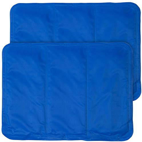 Newgen Medicals Kühlmatten für Menschen: 2er-Set kühlende Kissenauflagen, 30 x 40 cm, blau (Kissen Auflage, Kühldecken, Ventilatoren)