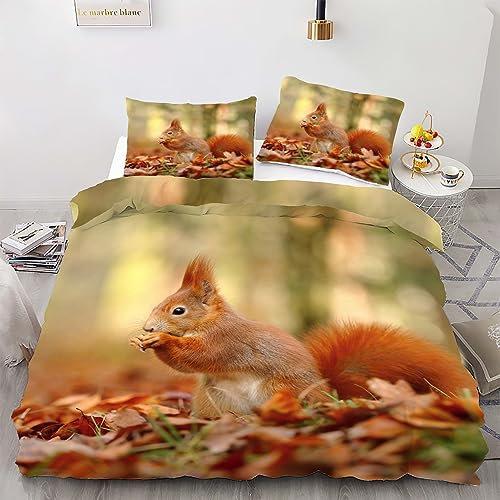 phonxia Bettwäsche 135x200 Kinder Eichhörnchen Bettbezug mit Reißverschluss Weiche Mikrofaser Bettwäsche + 2 Kissenbezug 80x80 cm für Jungen Mädchen Einzelbettgröße 3-teilig
