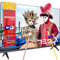Tesla - Smart TV de 32 (81cm), Televisión Resolución UHD, Android TV 11, Hey Google Official Assistant, WiFi & Bluetooth, 2 Altavoces de 10W, Chromecast Integrado (Reacondicionado)