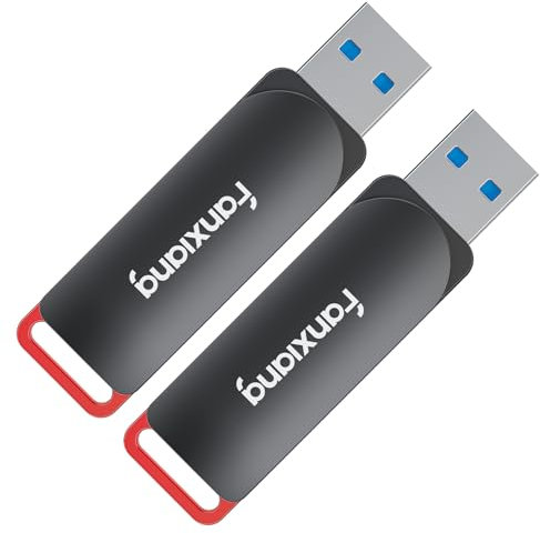 fanxiang 2 Pack USB 3.2 Gen 1 Flash Drive 256GB USB Stick, Up to 200 MB/s Zinc Alloy USB A Drive Thumb Drive Memory Stick for Smartphones, Tablets, PC, Car - F309