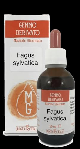 Faggio BIO gemmoderivato 50ml - Fagus sylvatica
