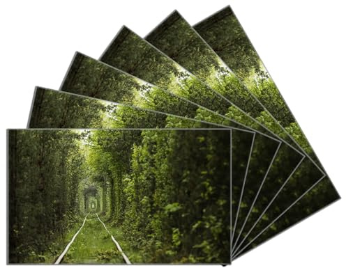 Wallario 6er Set Frühstücksbrettchen aus Glas, Glasunterlage, Glasbrettchen Verwunschener Tunnel aus Bäumen, Größe 14 x 23 cm, Sicherheitsglas