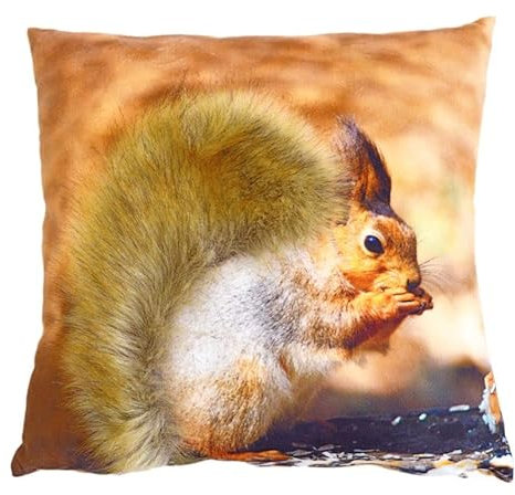 Kinzler Dekokissen, Hülle aus 100% Polyester, Eichhörnchen, 40x40 cm