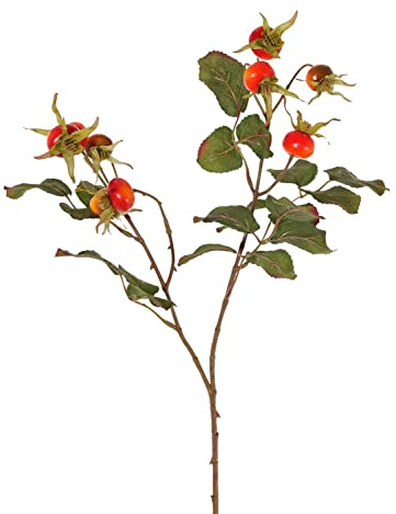 artplants.de Kunstzweig Wildrose FILONAS mit Früchten, orange-rot, 60cm - Rosenzweig künstlich