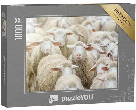 Puzzle 1000 Teile XXL „Aufnahme Einer Schafherde, Schafzucht, EIN Schaf schaut in die Kamera“ – aus der Puzzle-Kollektion Bauernhof-Tiere, Schafe & Lämmer
