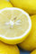 Albero di Limone Femminello Siracusano 2KR pianta di Limone varietà Femminello Siracusano 2KR continua fruttificazione età 2 anni pianta vera venduta da eGarden.store