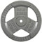 Sporzon! Hantelscheibe aus Gusseisen, 2,5 cm, für Krafttraining, Gewichtheben und Crossfit, einzeln, grau