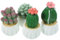 Kisangel 4piezas Adornos Miniatura De Cactus Artificiales Resina Plantas Suculentas para Decoración De Escritorio Jardín Y Paisajismo Micro