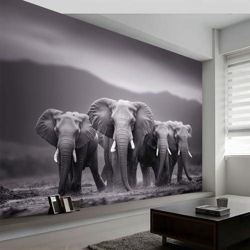 Papier Peint Panoramique Réalisme 300L x 210H cm, Tapisserie Mural Décoration Salon - Papier Peint Design Moderne Désert Noir Blanc Animaux Éléphant pour Chambre Chambre d'Enfant Décoration Murale