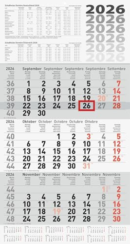 BRUNNEN 3-Monatskalender 2026 | grau, 300×560 mm