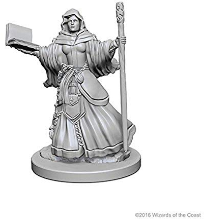 NECA WizKids WZK72619 Zubehör
