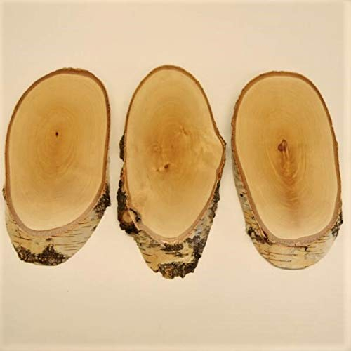 3 Stück Birke Schilder Trophäenschilder REH groß Rehbock Geweih Baumscheibe Baumschild Natur Holz modern