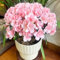 10 pcs Rhododendron samen- balkonpflanzen，gartenpflanzen，Wunderschön leuchtende Blumen mit pflanzen winterhart draußen gartenpflanzen winterhart garten geschenk，pflanzen für sonnige