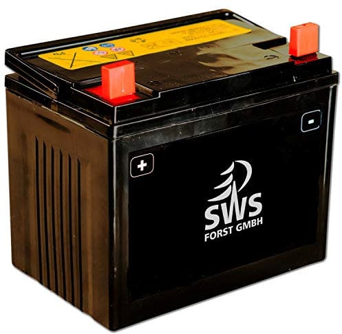 SWS Forst GmbH vorgeladene sofort einsatzbereite Batterie für alle MTD Rasentraktoren 12 V 24Ah und andere Rasenmäher