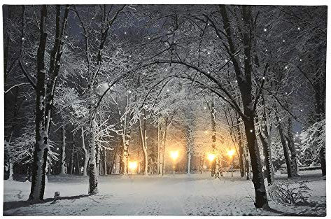 zeitzone LED Bild Schneelandschaft Park Weihnachten Winterlandschaft Beleuchtet 38x58cm