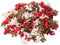 creativ home Holz- Tischstreu. Streudekoration. ELCH 144 Teile. 2/2 / 0,25 cm. Elche, Hirschen, Rentiere. ROT -Mix. 9619618-01