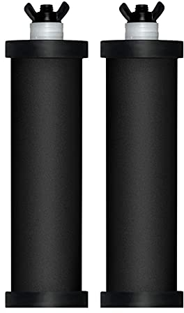 Lixada Ersatz Waterdrop Ersatzwasserfilter für Wasseraufbereiter Ersatzfilter Reinigungselemente (2 Stück)