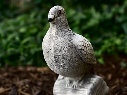 OLOMA Sitting dove sculpture Cute animal figure Stone dove statue Outdoor bird ornament Cement bird figure Garden decor Outdoor figurine ornament Unique patio decoration Handmade statue