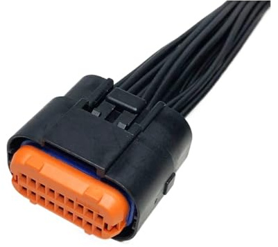 ANNBCDL Connecteur étanche de faisceau de câbles ECU DJ7181A-1, prise de câble de contrôleur d'ordinateur de voiture d'une longueur de 30cm(Color:18p female)