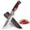 Fubinaty Chef's Knife 6 Inch Handmade Forged Slicing Knife High Carbon Steel Cooking Knife Full Tang Kitchen Knives with Wooden Handle and Sheath for Home, Grill