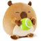 shownicer Plüschtier Capybara Kuscheltier Mit Tennis Stofftier Kawaii Capybara Plüsch Kissen Spielzeug Wurfkissen Geschenk für Kinder Jungen 3+ Jahre (Capybara & Tennis, 35cm)