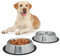 Relaxdays Set 2 Comederos Perro, Cuenco Agua, Comida, Antideslizante, Bebedero Acero Inoxidable Talla L, 0,75L, Plateado