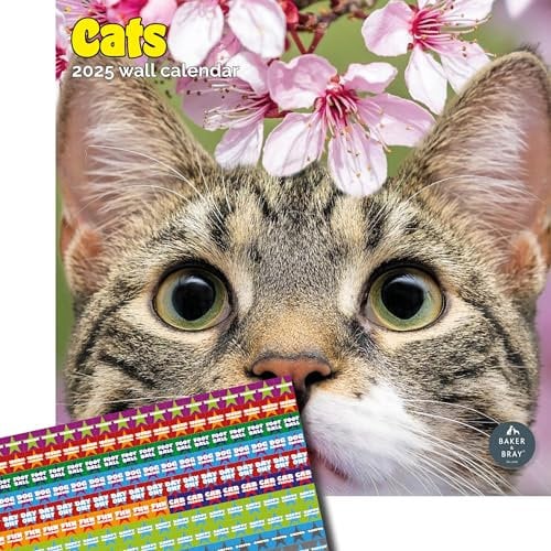 I Love Cats Kalender 2024 | Quadratischer Wandkalender | 16 Monate | Baker and Bray