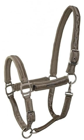 OR S-LINE LAMI-Cell Kollektion Aurora Satin Halfter für Pferde, Warmblut, Full (Champagner, Warmblut)