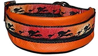 Hunde Halsband Windhund