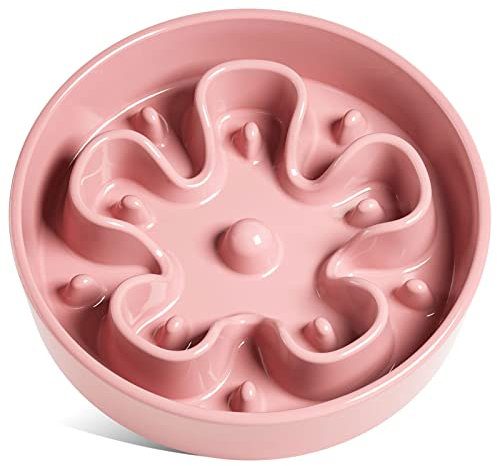 LE TAUCI Gamelle à Alimentation Lente en Céramique pour Chien - 3 Tasses, Labyrinthe pour Mangeurs Rapides, Taille Moyenne et Grande