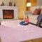 SUBEEN Tapis Salon, Tapis Chambre Tapis de Salon Moderne Tapis Shaggy Grand Tapis Antidérapant pour Salon Chambre Enfants (Rose, 160x200cm)