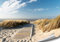 ARTBAY EIN Weg zum Meer - Poster XXL - 118,8 x 84 cm | Nordsee | Strand | Natur Poster | Premium Qualität