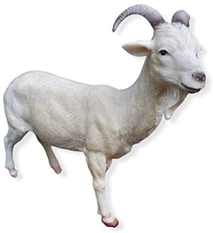 Aspinaworld Gartenfigur Ziegenbock stehend 20 cm – detailreiche Tier Figur aus Kunstharz – für Außenbereich
