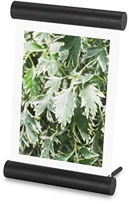Umbra Scroll 13 x 18 cm Bilderrahmen freistehend, Tischbilderrahmen für vertikale und horizontale Ausrichtung, Schwarz, 5X7