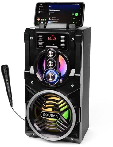 SQUEAK Kabelloser Bluetooth 5.1-Lautsprecher Beatboxer, 20W, Model: SQ1000