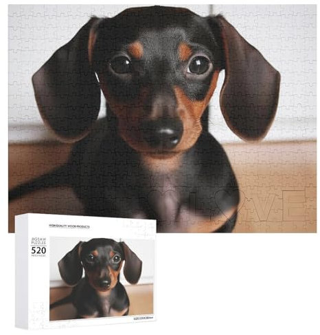 Cute Wiener Sausage Dog Jigsaw Puzzle for Adults 520 Piece Unique Wooden Puzzle Gift Challenging Puzzle for Family Game Nights 15 X 20 Inches