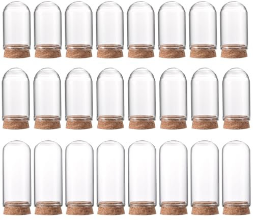 PATIKIL Klare Cloche-Glasglocke, 24er-Pack Glasglocken-Display-Gehäuse Tischmitte mit Korkboden für LED-Lichtpflanzen-Heimdekoration 1,57x1,18 Zoll