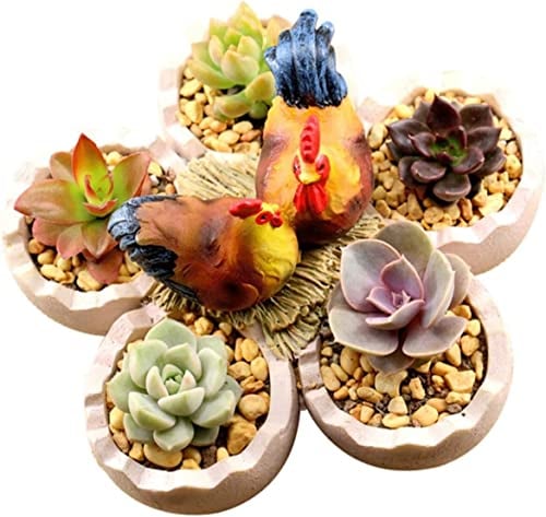 Garten-Pflanztopf, Blumentöpfe, 1 Tablett, Dekorationsartikel, Vintage-Heimdekoration, Ei-Ornament, Osterei-Pflanzgefäß, Eierschale, Blumentopf, Garten-Sukkulententopf, Kaktus, Sukkulenten-Ornamente