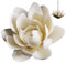 Porte-encens pour bâtons, Fleur de Lotus Blanche Support de bâton d'encens 2x2 Pouces, brûleur Chinois en céramique décoratif pour la Maison, Yoga, méditation pour bâtons