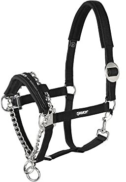 CONTROL Halfter inkl. Führkette -schwarz-