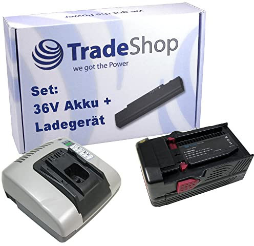 Trade-Shop - Offre 2 en 1 : chargeur rapide avec 2 ports USB + batterie Li-ion 36 V 6000 mAh compatible avec Hilti B36 B36V TE6A TE7A