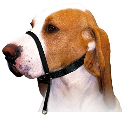 XT-DOG DB922 Halfter Nylon-Ausbildung