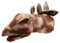 The Puppet Company Large Stegosaurus Dinosaur Head Hand Puppet PC004801
